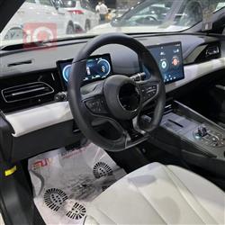 بي واي دي سيل 06 DM-i